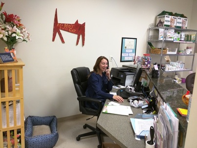 Reception — Second View